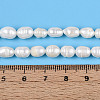 Natural Cultured Freshwater Pearl Beads Strands PEAR-N012-05B-01-5