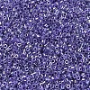 MIYUKI Delica Beads SEED-MY11-DB0250-3