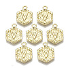Alloy Pendants PALLOY-N157-003V-NR-1