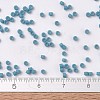 MIYUKI Delica Beads SEED-J020-DB0798-4