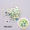 Holographic Nail Glitter Powder Flakes MRMJ-T063-361K-2