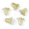 Spray Painted Transparent Glass Beads GLAA-D006-20E-1