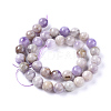 Natural Lavender Amethyst Beads Strands G-L555-01-8mm-3