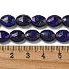 Natural Lapis Lazuli Beads Strands G-P544-D04-01-5