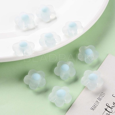 Transparent Acrylic Beads TACR-S152-09C-10-1