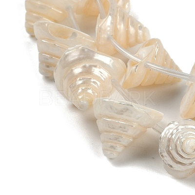 Natural Shell Beads Strands X-SHEL-K009-11-1
