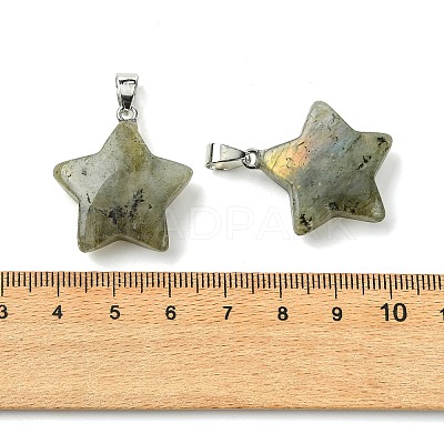 Natural Labradorite Pendants GG-K002-10G-1