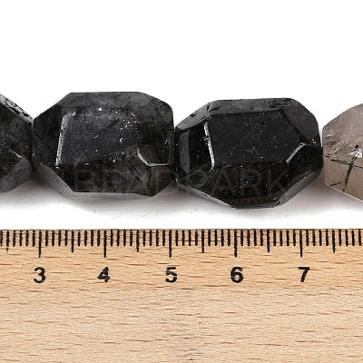 Natural Black Rutilated Quartz Beads Strands G-F796-C02-01-1