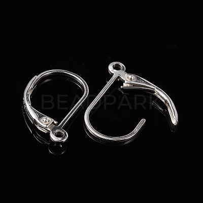 925 Sterling Silver Hoop Earrings STER-P032-06S-1