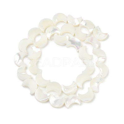 Natural White Shell Beads Strands SSHEL-10X12-1