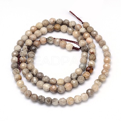 Natural Fossil Coral Round Bead Strands G-O094-08-4mm-1