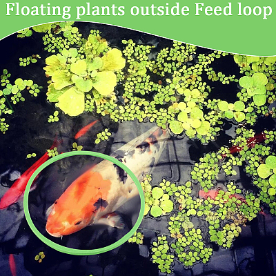 2 Sets EVA Foam Feeding Ring for Fish AJEW-CN0002-52B-1