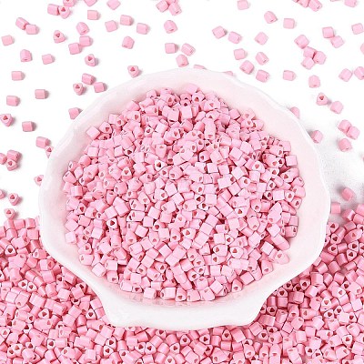 FGB Baking Paint Glass Seed Beads SEED-Q040-09A-02-1