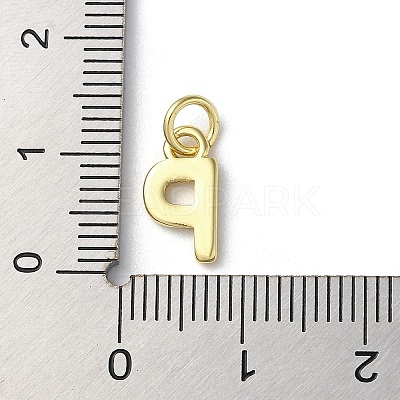 Rack Plating Brass Charms KK-P245-06G-P-1