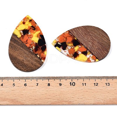 Transparent Resin & Walnut Wood Big Pendants RESI-T058-05K-1