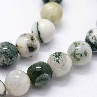 Natural Tree Agate Beads Strands X-G-I199-03-8mm-1