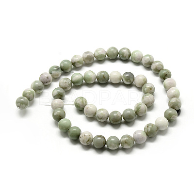 Natural Peace Jade Beads Strands G-Q462-50-8mm-1