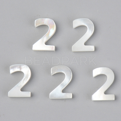 Natural White Shell Mother of Pearl Shell Charms SSHEL-R048-004-02-1