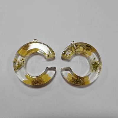 Transparent Epoxy Resin Pendants CRES-YW0002-12C-1
