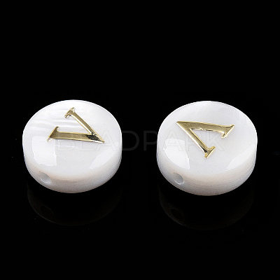 Natural Freshwater Shell Beads SHEL-N036-01V-1