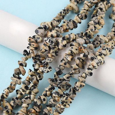 Natural Dalmatian Jasper Beads Strands G-G0003-B29-1