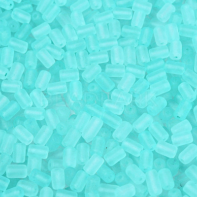 FGB Frosted Transparent Glass Seed Beads SEED-N013-05A-10-1