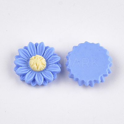 Resin Cabochons CRES-T010-60D-1
