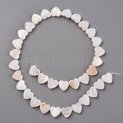 Natural Freshwater Shell Beads Strands SHEL-R144-25-1