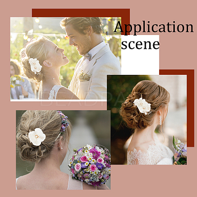 1Set Wedding Bridal Alloy Alligator Hair Clips OHAR-GA0001-05-1