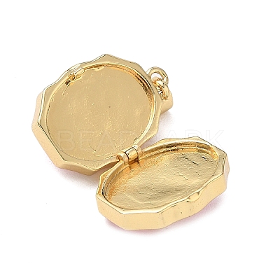 Oval with Butterfly Brass Enamel Locket Pendants KK-P334-18G-01-1