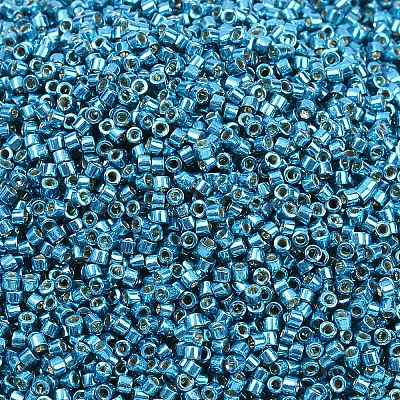 MIYUKI Delica Beads LS-X-SEED-J020-DB2513-1