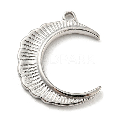 Non-Tarnish 304 Stainless Steel Pendants STAS-C082-02P-1