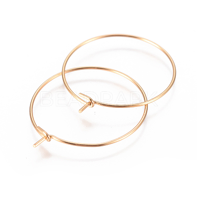 304 Stainless Steel Hoop Earrings Findings LS-STAS-I120-60B-G-1