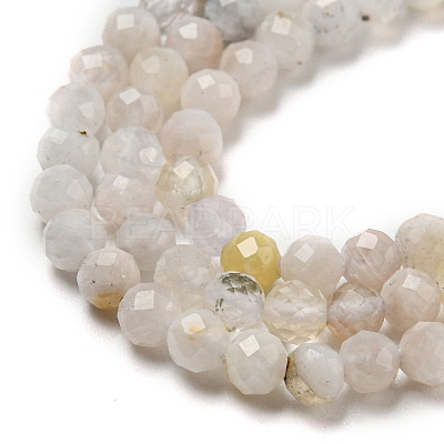 Natural Rainbow Moonstone Beads Strands G-A097-A02-03-1