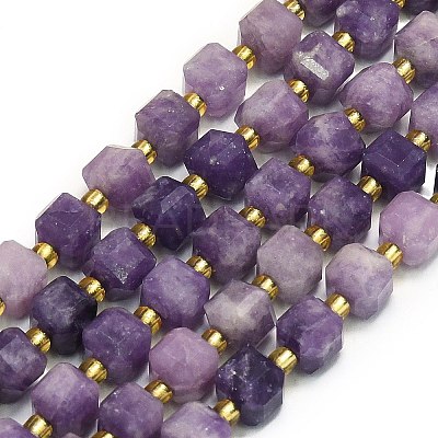 Natural Lepidolite/Purple Mica Stone Beads Strand G-I376-D34-01-1
