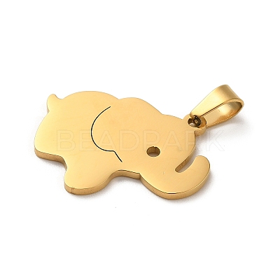 304 Stainless Steel Pendants STAS-O005-24B-G-1