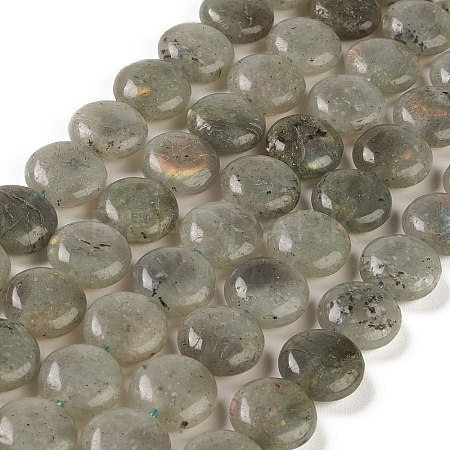 Natural Labradorite Beads Strands G-M403-C09-01-1