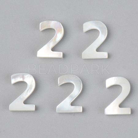 Natural White Shell Mother of Pearl Shell Charms SSHEL-R048-004-02-1