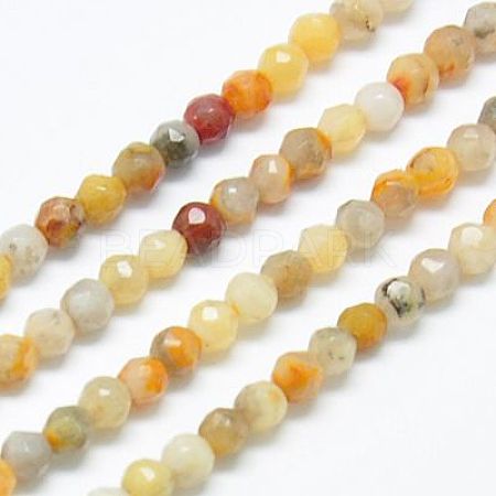Natural Crazy Lace Agate Beads Strands G-J002-03J-1