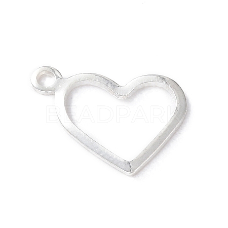 304 Stainless Steel Charms STAS-P227-23S-1