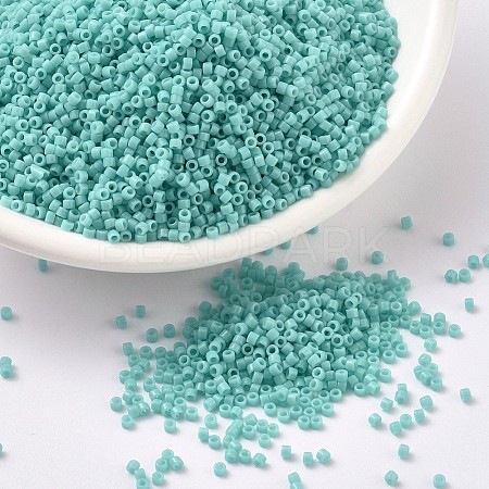 MIYUKI Delica Beads X-SEED-J020-DB1136-1