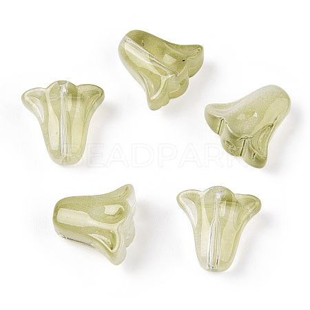 Spray Painted Transparent Glass Beads GLAA-D006-20E-1