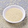 MIYUKI Delica Beads SEED-X0054-DB0157-2
