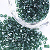 FGB Grade A Glass Seed Beads SEED-S022-03P-1