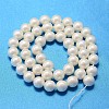 Round Shell Pearl Bead Strands X-BSHE-L011-8mm-A013A-3