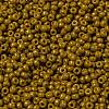 MIYUKI Round Rocailles Beads SEED-G008-RR4456-3