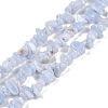 Natural Blue Lace Agate Chip Beads Strands G-E271-73-A-1