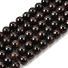 Natural Garnet Gemstone Bead Strands G-R263-10mm-1