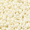 Baking Paint Luster Glass Seed Beads X-SEED-B001-04A-11-3