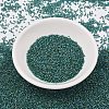 MIYUKI Delica Beads SEED-J020-DB2381-2
